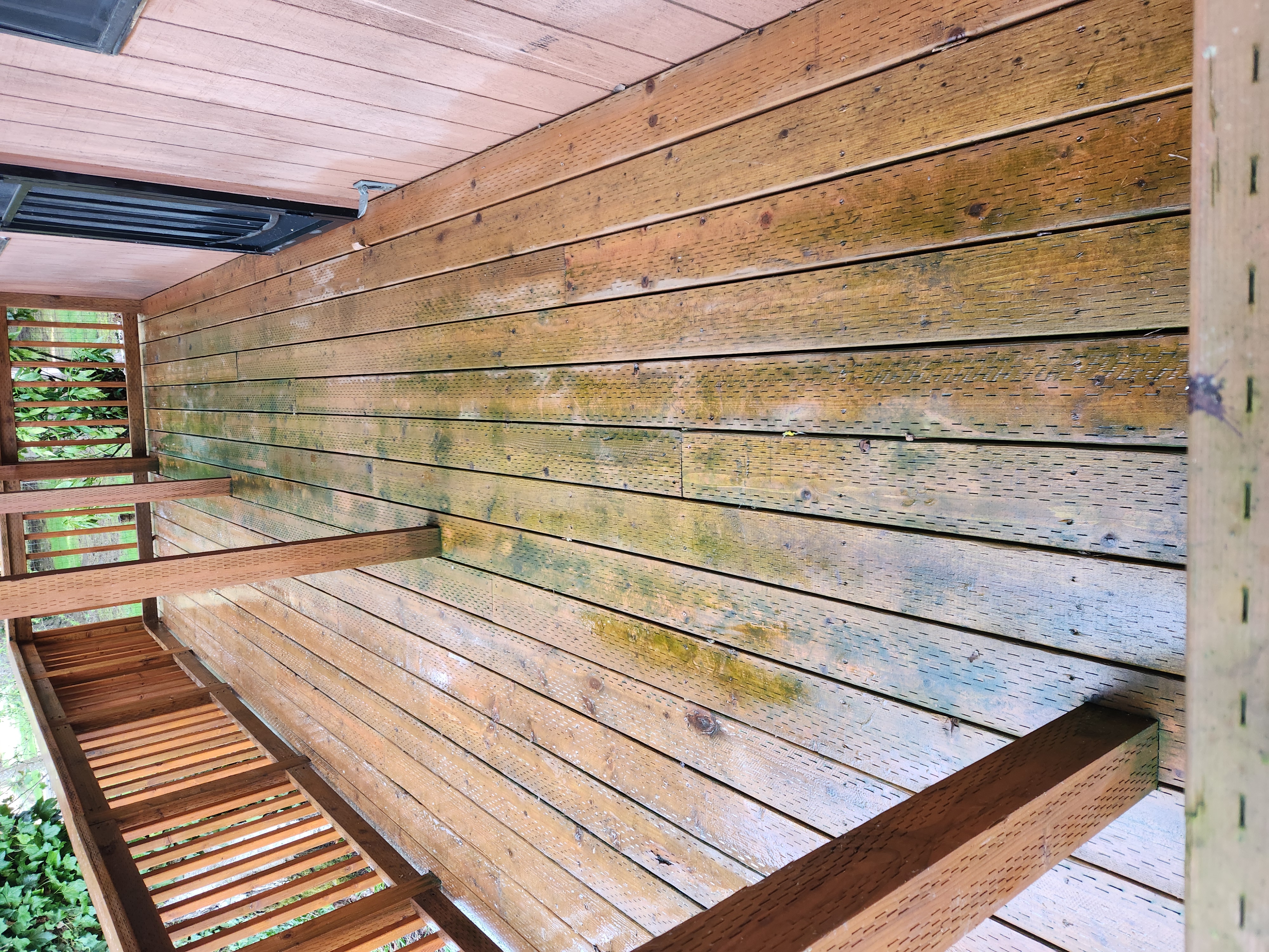 Fence before cleaning